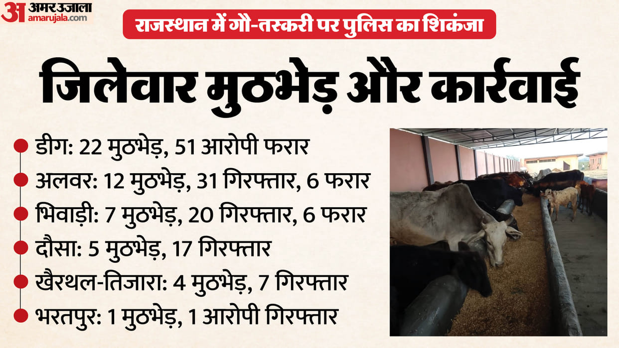 54 Encounters, 110 Arrests: Rajasthan Cracks Down on Cow Smuggling; Gau Seva Policy 2026 in Works