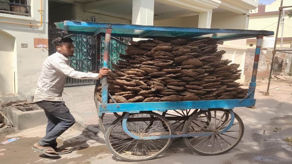 गोबर के कंडे ले जाता युवक