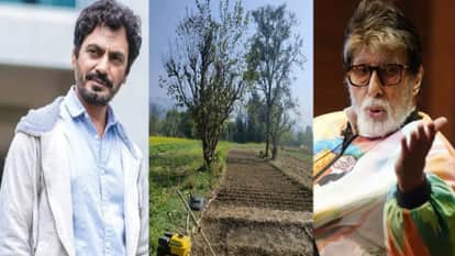 From Nawazuddin to Amitabh, Why celebrities are buying village land