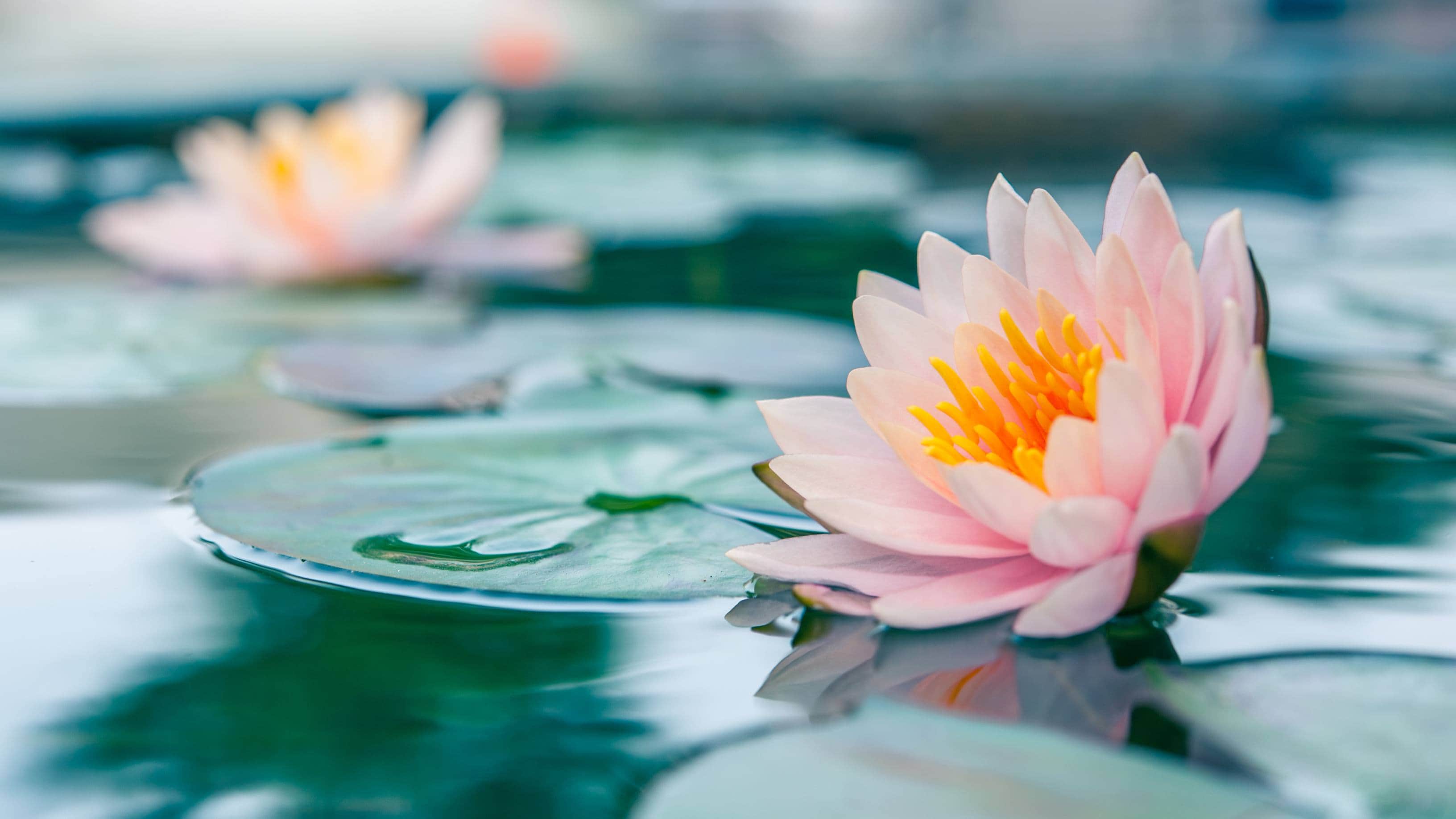 Chaitra Navratri 2026 bring these five auspicious things before Navratri negativity will go away