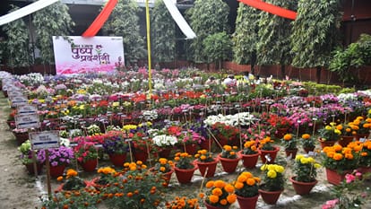 Amar Ujala Flower Exhibition Organized in Bareilly