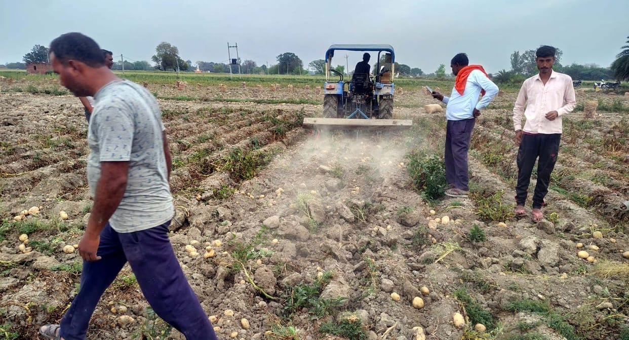 Kannauj Farmer Runs Tractor Over Potato Crop said Price Production Costs Arent Being Recovered