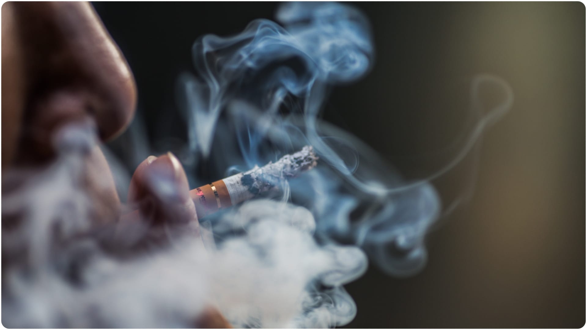 Smoking in Public Places Fine: Know COTPA Act Rules and Penalty in hindi