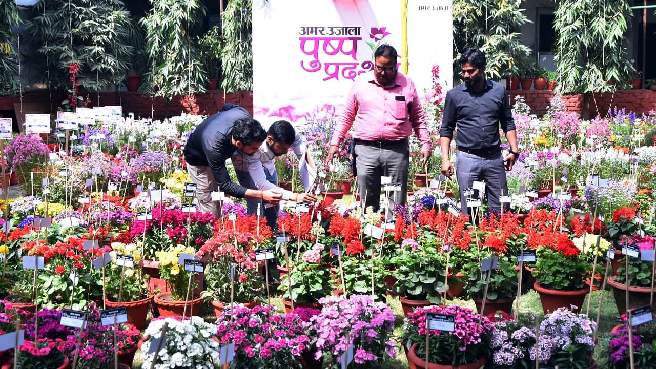 Amar Ujala Flower Exhibition Nature Lovers Delighted by Colorful Flowers in Bareilly