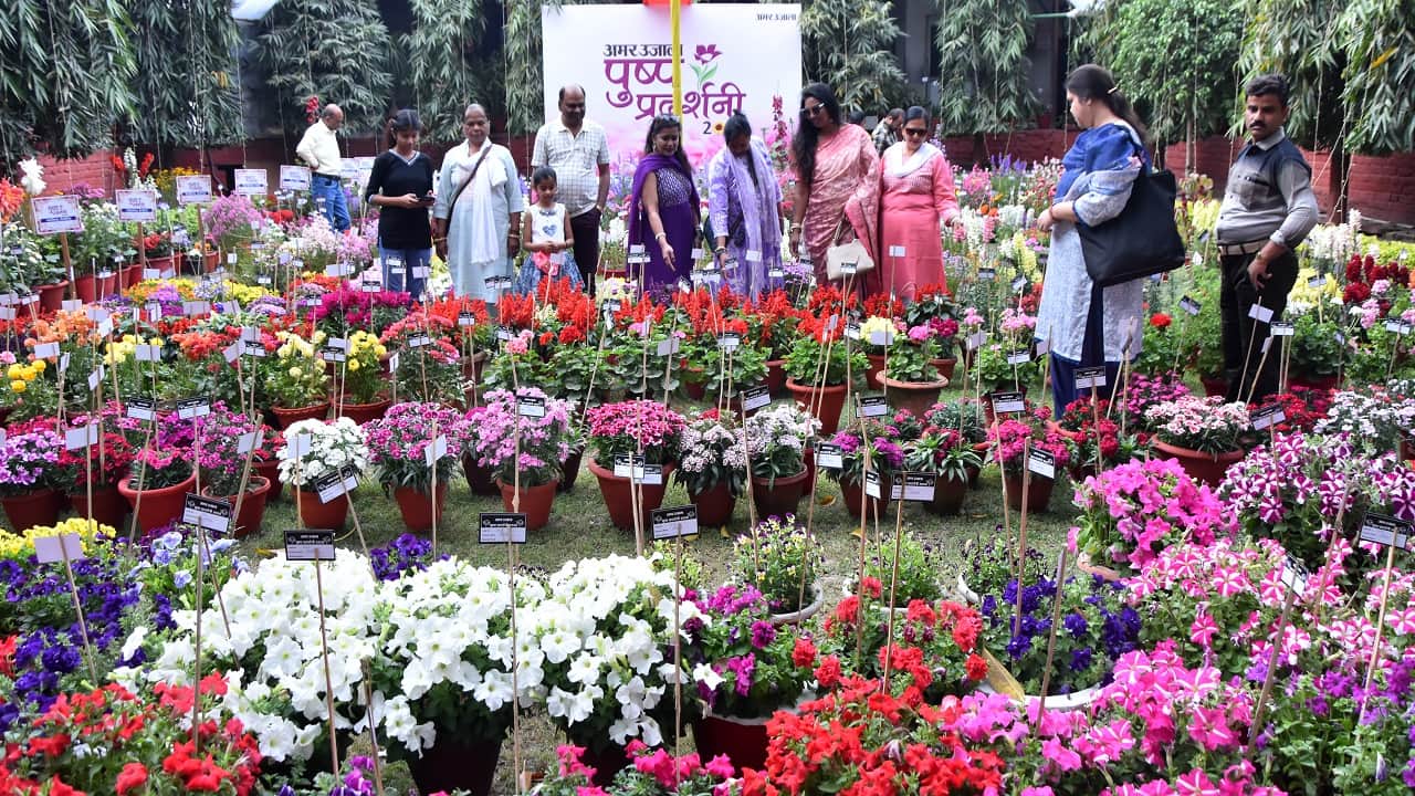 अमर उजाला परिसर में सजी सतरंगी बगिया