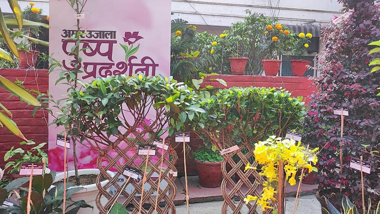 Amar Ujala Flower Exhibition Nature Lovers Delighted by Colorful Flowers in Bareilly