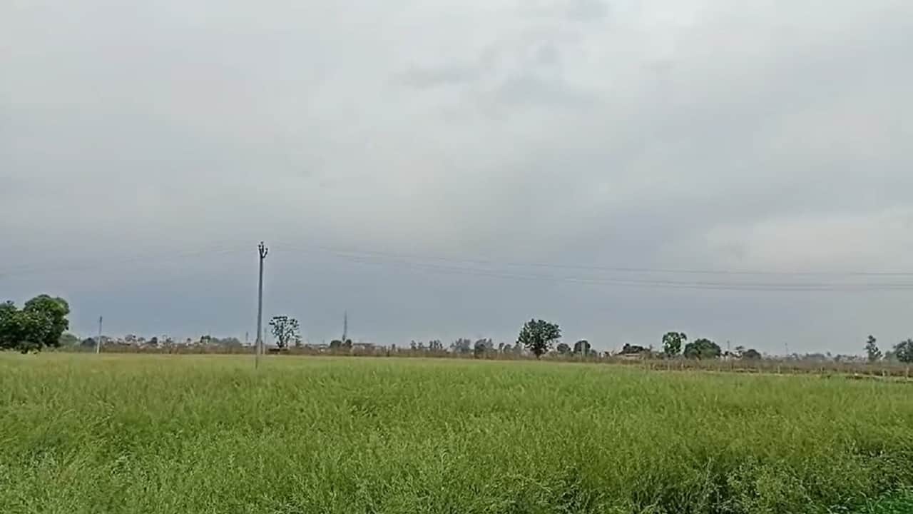 हरियाणा में मौसम ने ली करवट