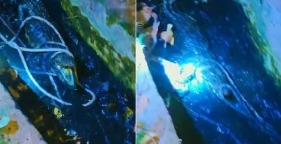 Hardoi Crocodile Attacks Scooty Rider Villagers Subdue It by Tying with Rope Hand It Over to Forest Department