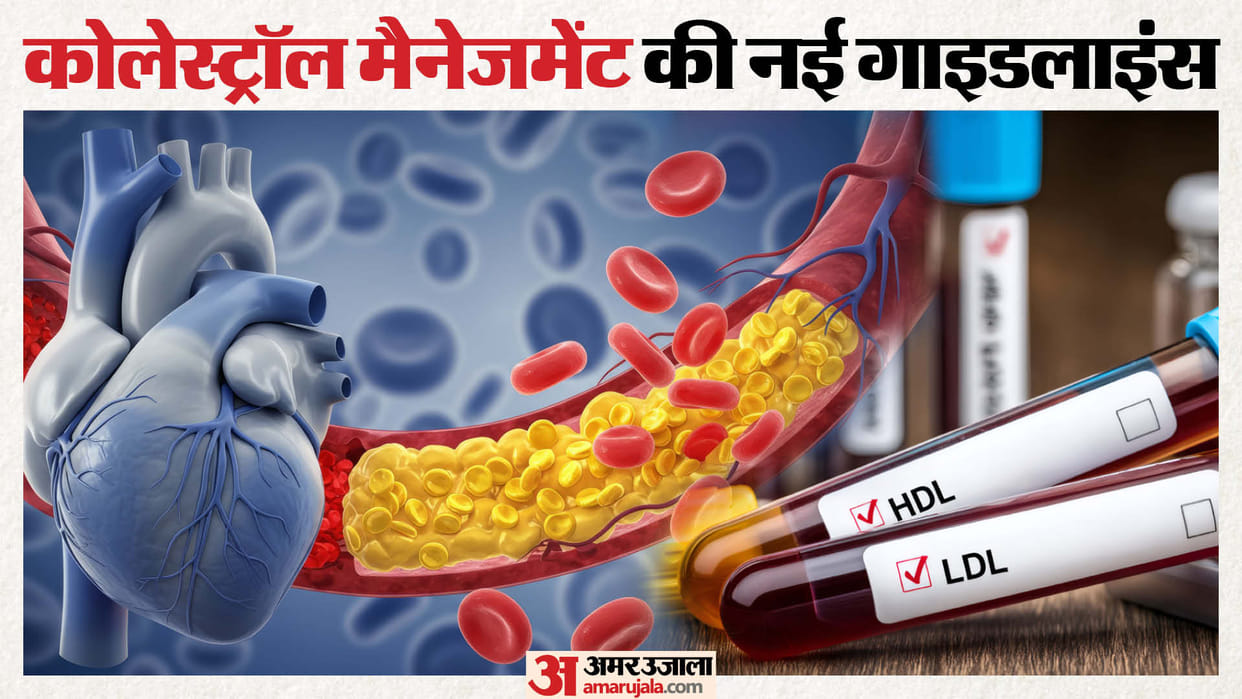 american heart association cholesterol new guidelines 2026 how to manage Lipids, Cholesterol