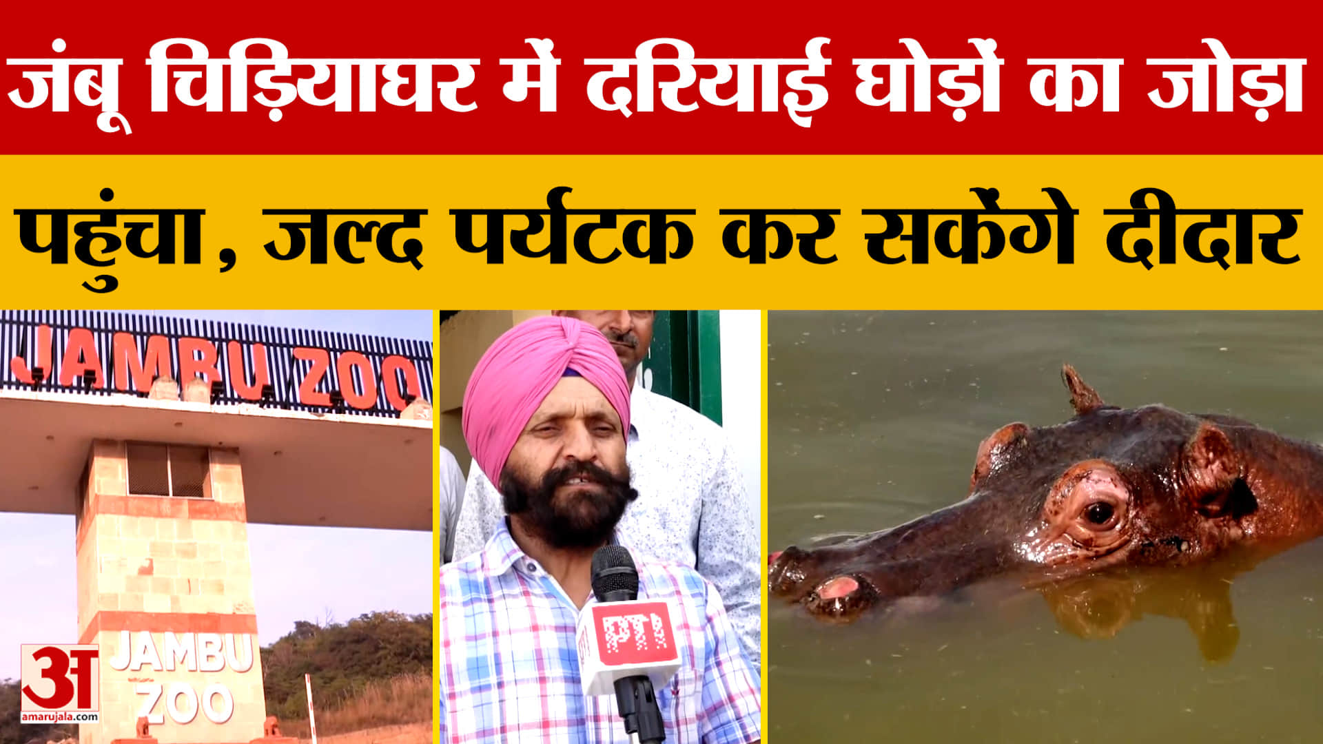 जंबू चिड़ियाघर में दरियाई घोड़ों का जोड़ा पहुंचा, जल्द पर्यटक कर सकेंगे दीदार