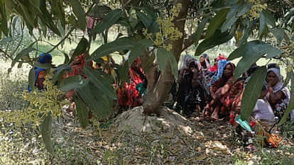 Kanpur: Body of Boring Mechanic Found Hanging from Mango Tree