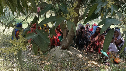 Kanpur: Body of Boring Mechanic Found Hanging from Mango Tree