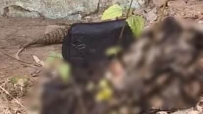 Anuppur News: Decomposed body of woman found in abandoned house in field; forensic team begins investigation