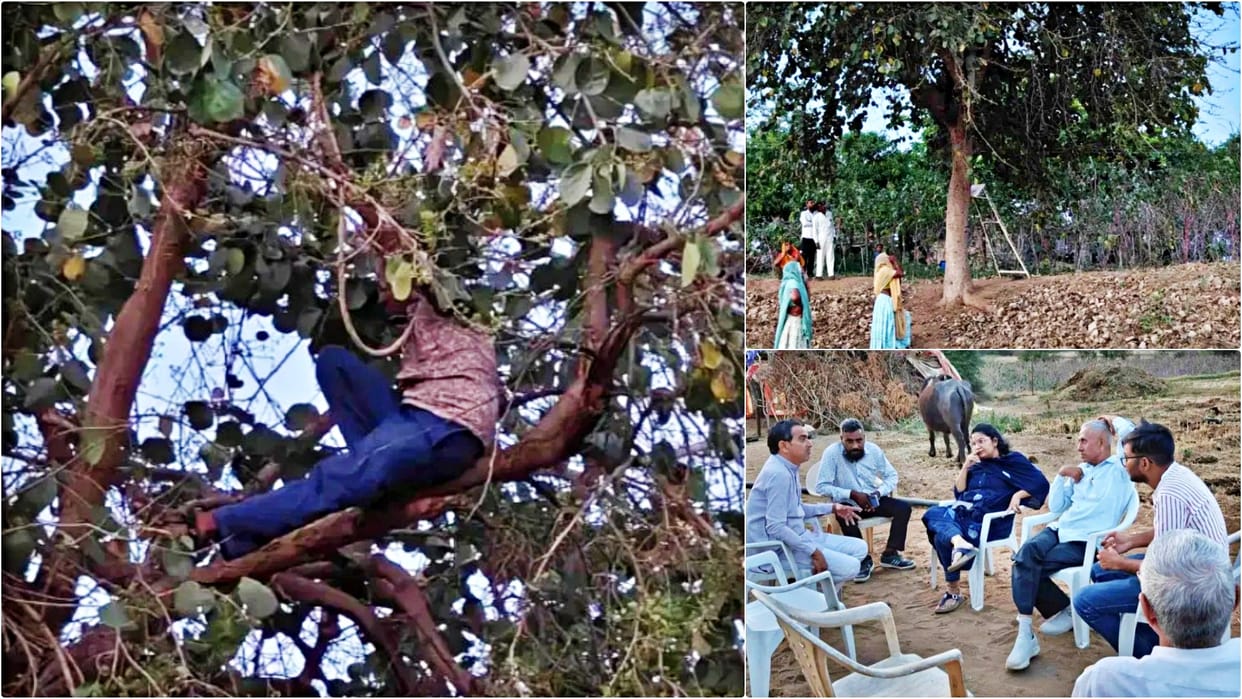 Upset that his wife did not return from her maternal home, husband climbed tree stayed there for 19 hours