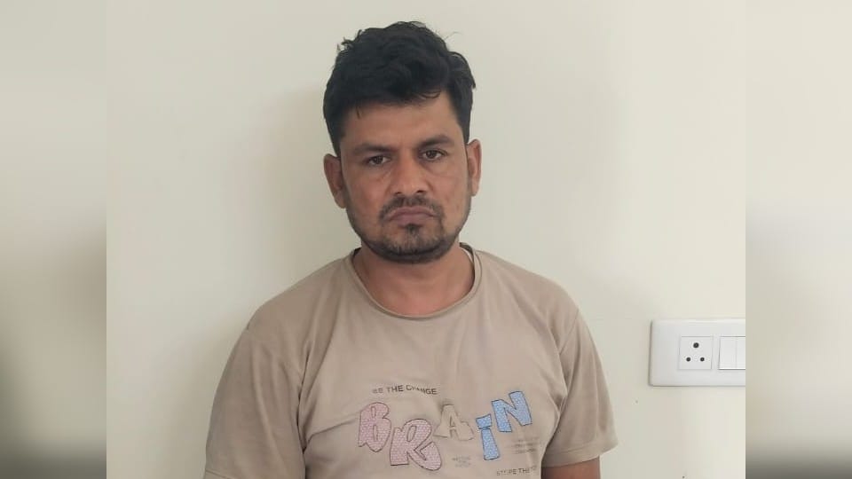पकड़ा गया आरोपी।