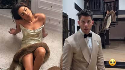 Priyanka Chopra shares photos after oscar award 2026 looks very tired