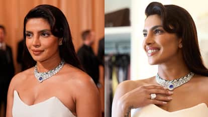 Priyanka Chopra Walked The Red Carpet Holding Nick Jonas Hand In Oscars Awards 2026