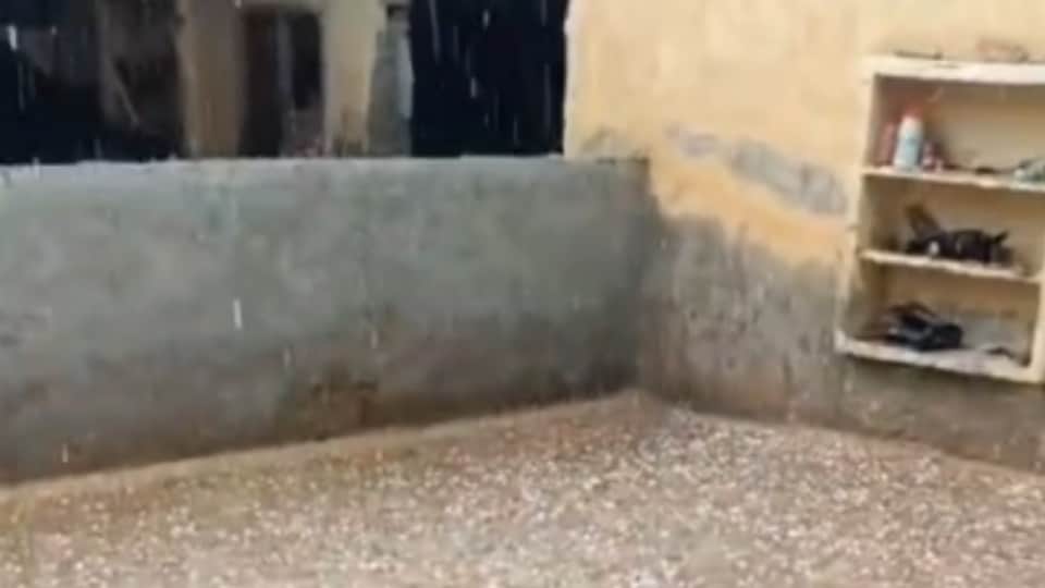 गुरुहरसहाए में गिरे ओले