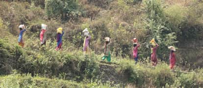 Human-wildlife conflict: The deepening crisis between development and ecology