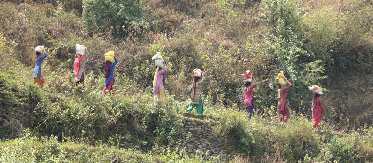 Human-wildlife conflict: The deepening crisis between development and ecology