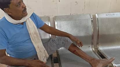 UP: Leopard Attacks Elderly Man in Bahraich; Victim Fights Back to Save His Life—Panic Grips Village