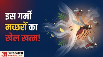 मच्छरों को भगाने के तरीके क्या हैं?