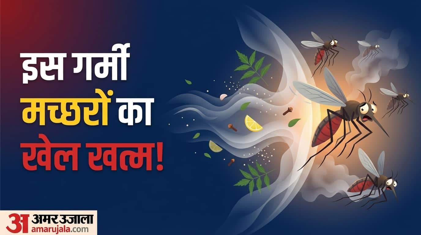 How to get rid of Mosquito Bites Follow these 4 effective tips for Day and Night Protection