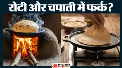 Roti vs Chapati Difference Know Which Is Better In Hindi