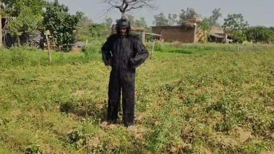 संभल में भालू जैसी ड्रेस पहले किसान