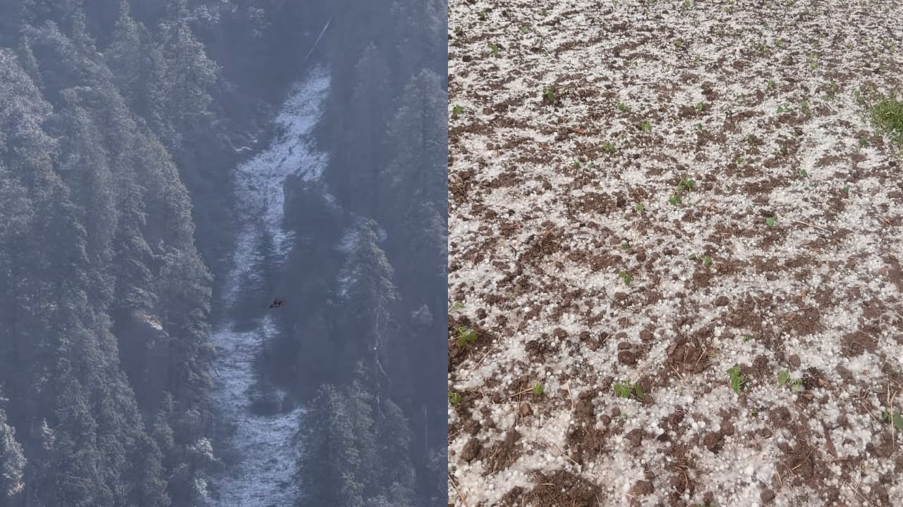 चकराता में बर्फबारी