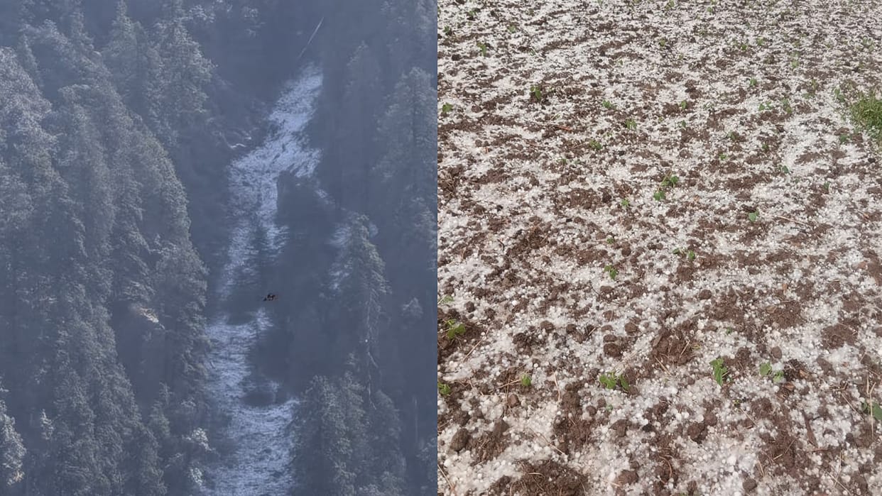 Chakrata high peaks received snowfall in March after seven years Uttarakhand snowfall