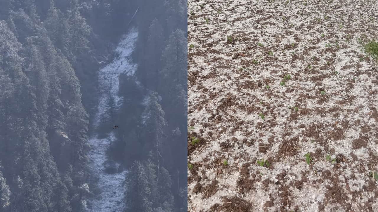 चकराता में बर्फबारी