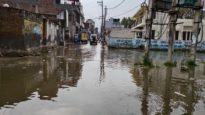 Rain in various districts of Haryana