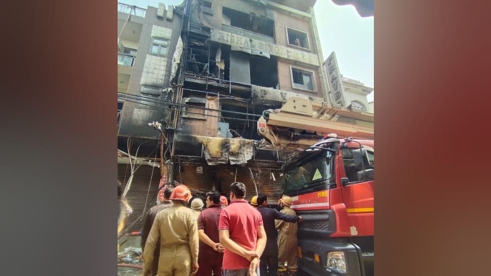 Delhi:पालम आग की जांच रिपोर्ट में नगर निगम और दमकल विभाग की कमियां उजागर, भीषण हादसे में गई थी 9 लोगों की जान – Palam Fire Inquiry Report Flags Mcd, Delhi Fire Services Lapses Delhi:पालम आग की जांच रिपोर्ट में नगर निगम और दमकल विभाग की कमियां उजागर, भीषण हादसे में गई थी 9 लोगों की जान – Palam Fire Inquiry Report Flags Mcd, Delhi Fire Services Lapses