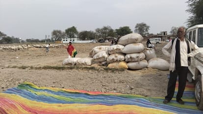 Kanpur Divisional Level Cattle Fair Falls Victim to Mismanagement Samosas Served Despite 6.50 Lakh Budget