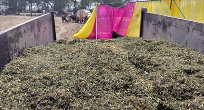 Kanpur Divisional Level Cattle Fair Falls Victim to Mismanagement Samosas Served Despite 6.50 Lakh Budget