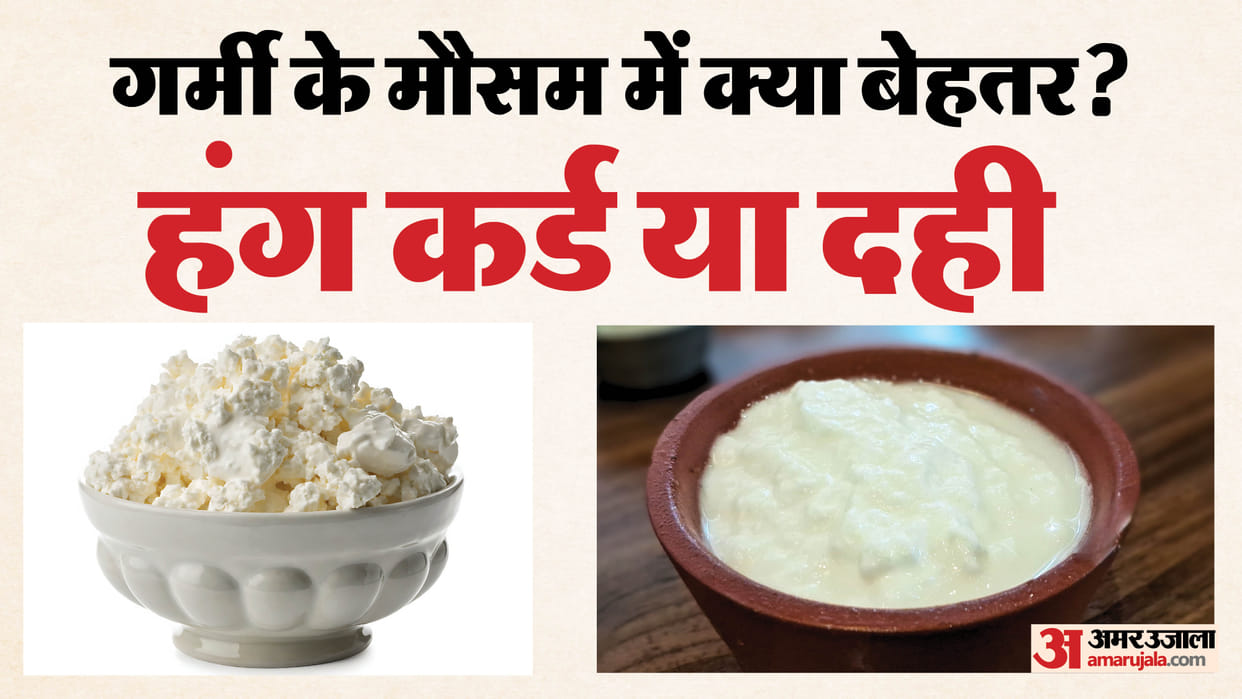 normal curd vs hung curd which is better for better digestion disprj