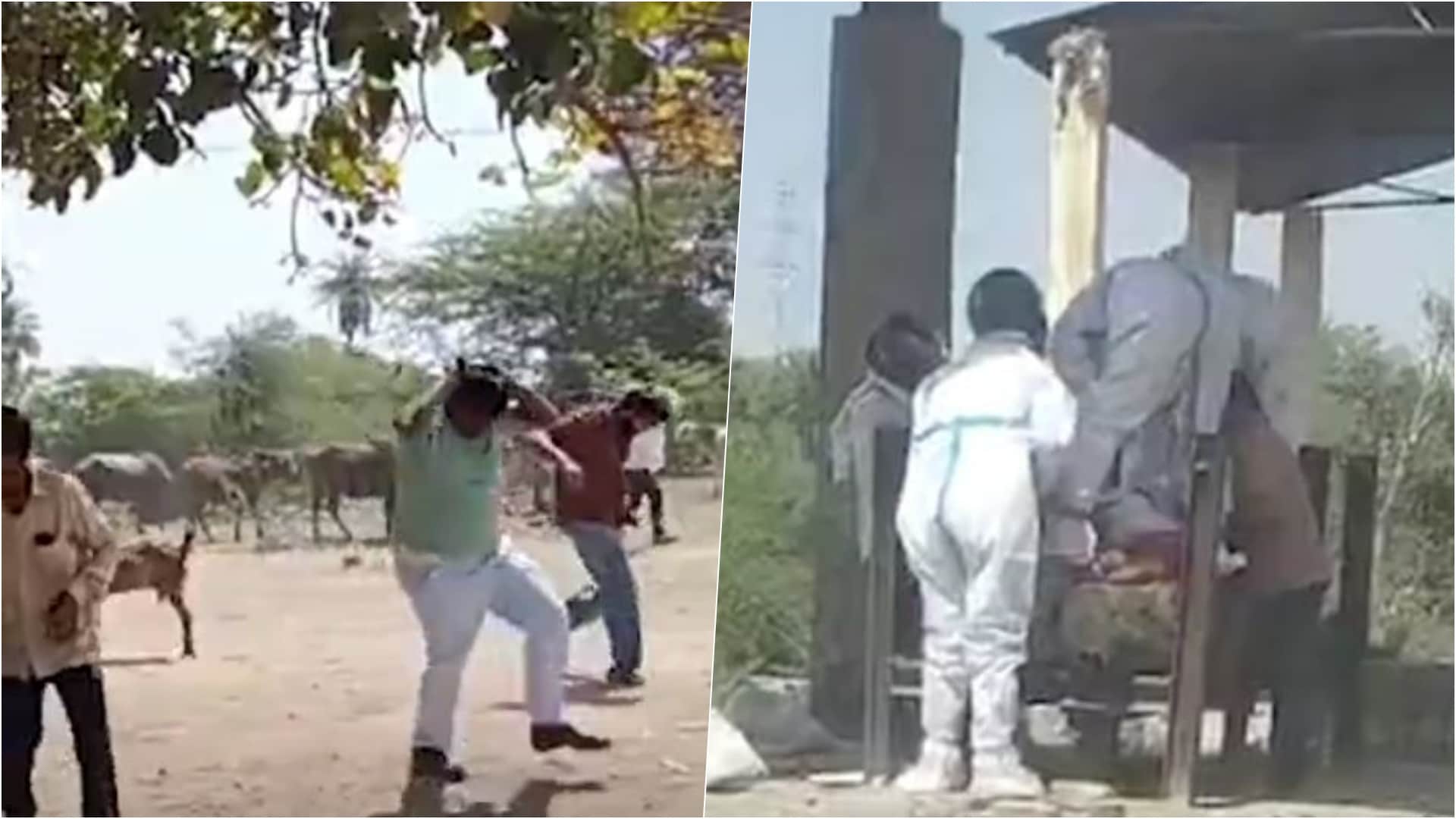 मधुमक्खी के काटने से दो की मौत, पीपीई किट पहनकर किया अंतिम संस्कार