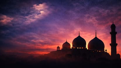 Meerut: Advocate Seeks Probe Into Claim of Ancient Buddhist Monastery Beneath Shahi Jama Masjid