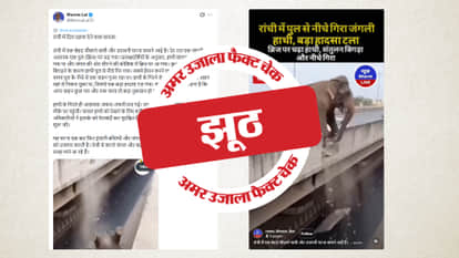 Fact Check AI-Generated Video of Elephant Falling from Bridge Being Shared as Real