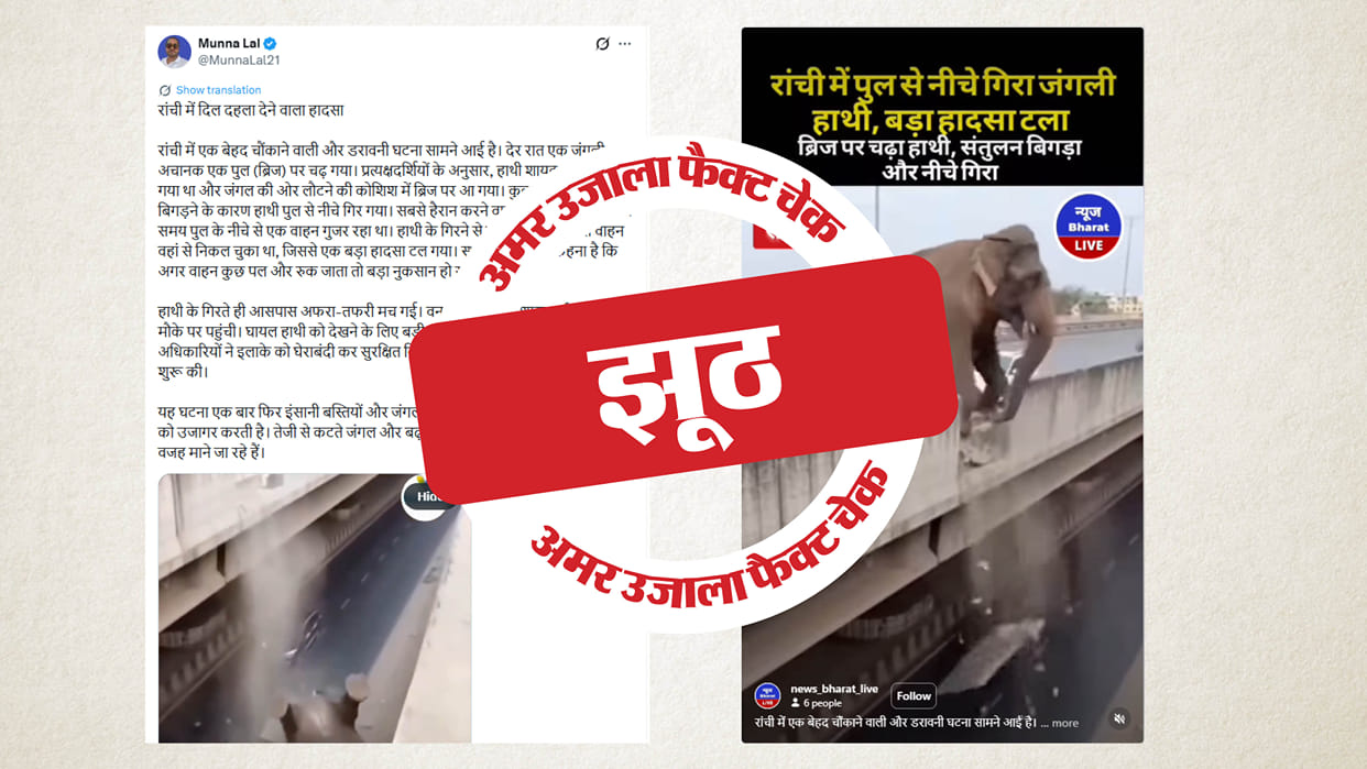 Fact Check AI-Generated Video of Elephant Falling from Bridge Being Shared as Real