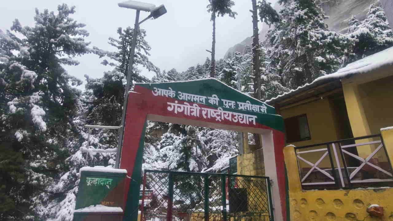 Snow covered Char Dhams Snowfall in Badrinath, Kedarnath, Gangotri and Yamunotri Uttarakhand Weather Photos