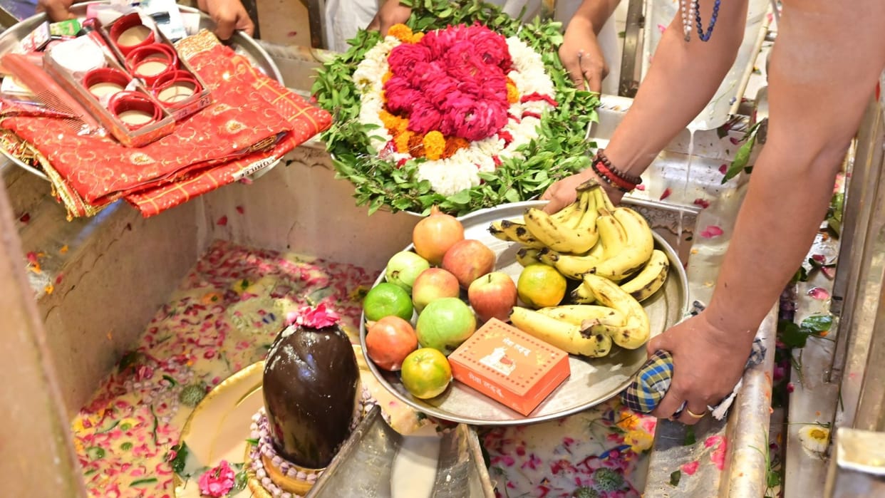 Nautapa Baba Vishwanath Offered Fruit Juice Portable Water Counters Installed Dham Highlights