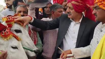 Bilaspur Nalwadi fair Once a business worth lakhs now borrowed bulls are used for puja