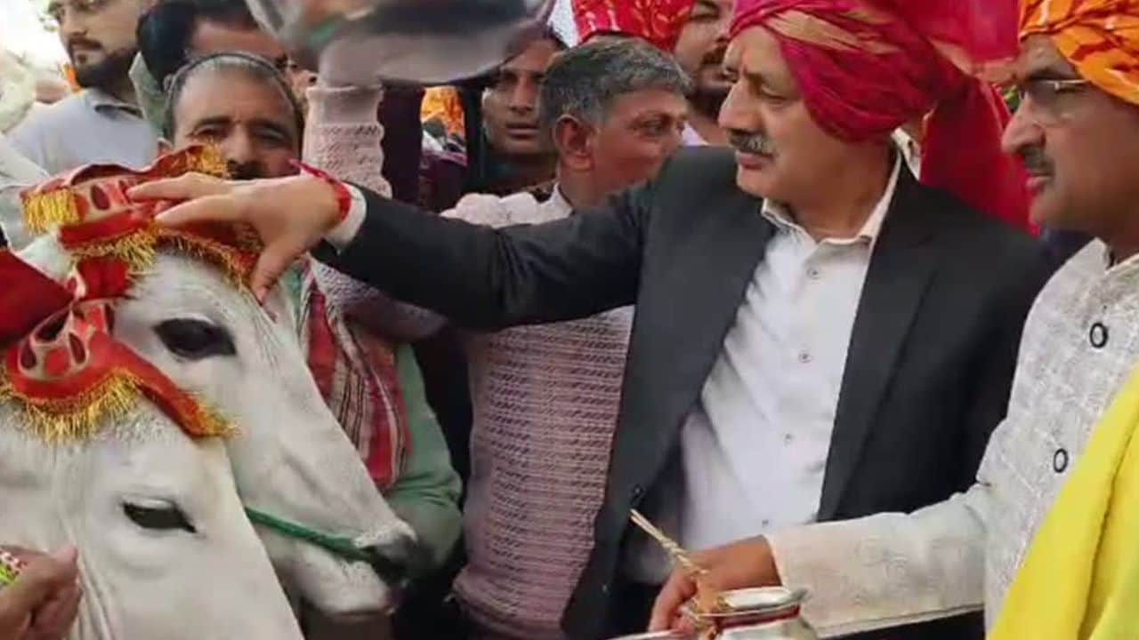 मेले के शुभारंभ पर होता बैल पूजन।