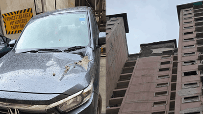 large section of plaster fell from upper floor inresidential society in Greater Noida West