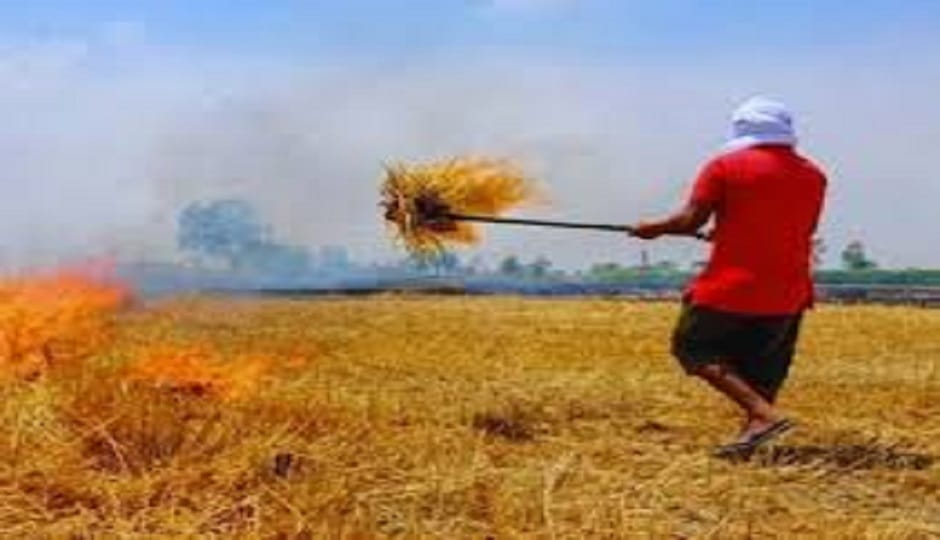 5000 acres of land in Kashipur and Jaspur will be converted into carbon credits