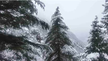 Uttarakhand Weather heavy rain and snowfall warnings issued along with an Orange Alert for storms