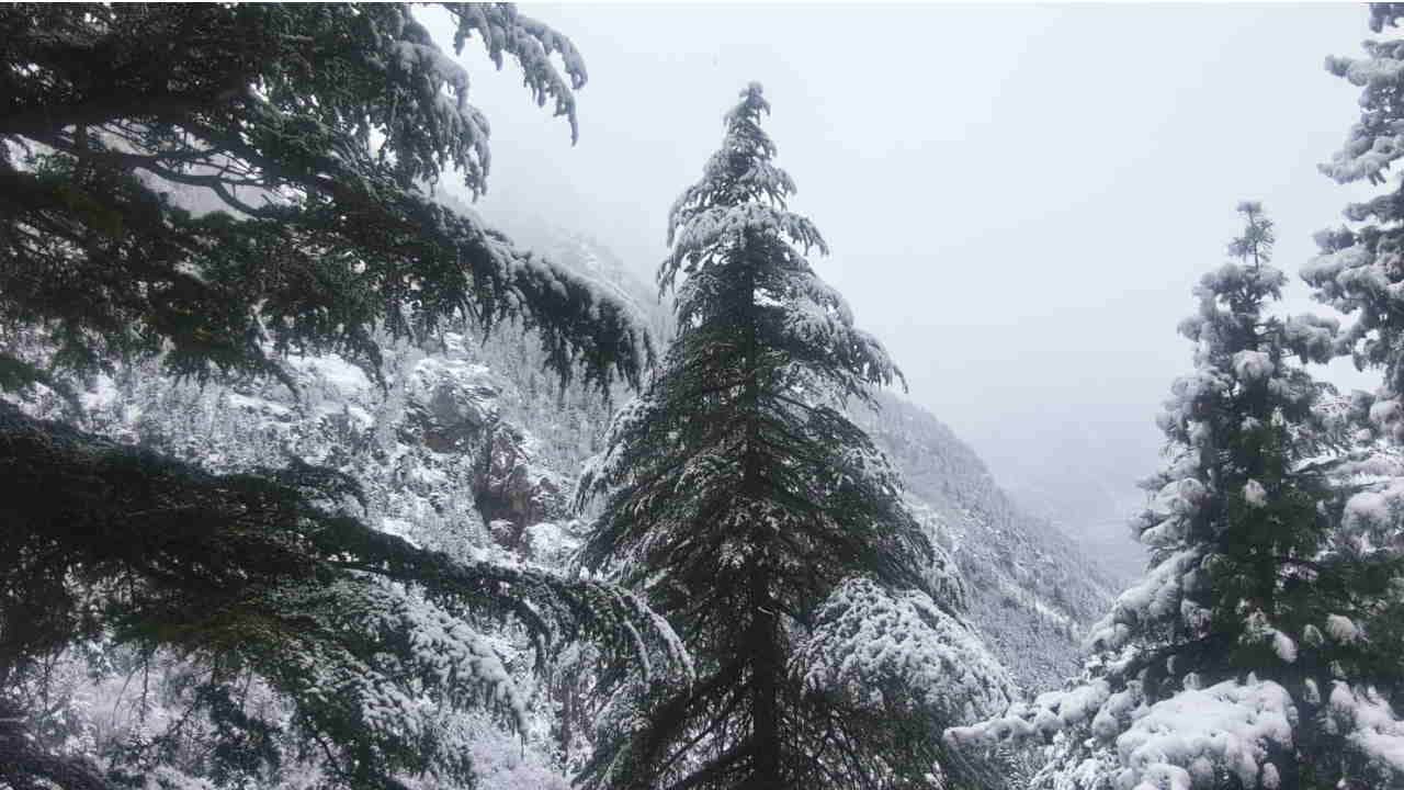 Snow covered Char Dhams Snowfall in Badrinath, Kedarnath, Gangotri and Yamunotri Uttarakhand Weather Photos