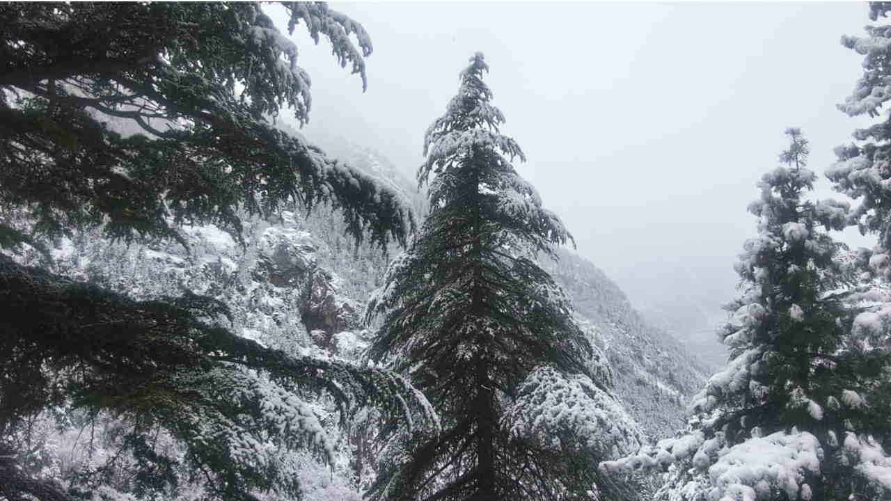 बर्फबारी